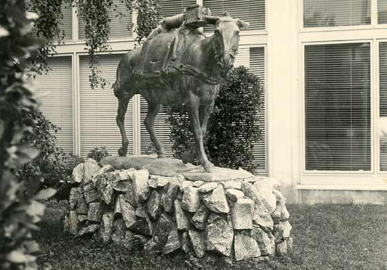 fig. 9 - fronte fotografia- l’Umile Eroe – 1961 Stresa, esterno del Palazzo dei Congressi.