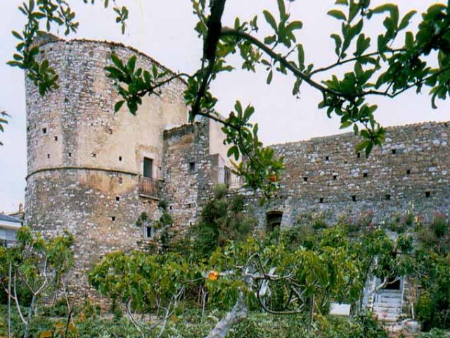 Apricena. Palazzo baronale, veduta d'insieme