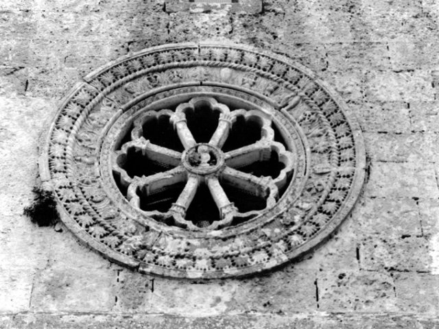 Ostuni. Chiesa di S. Maria della Nova, prospetto principale, rosone a motivi vegetali doppi