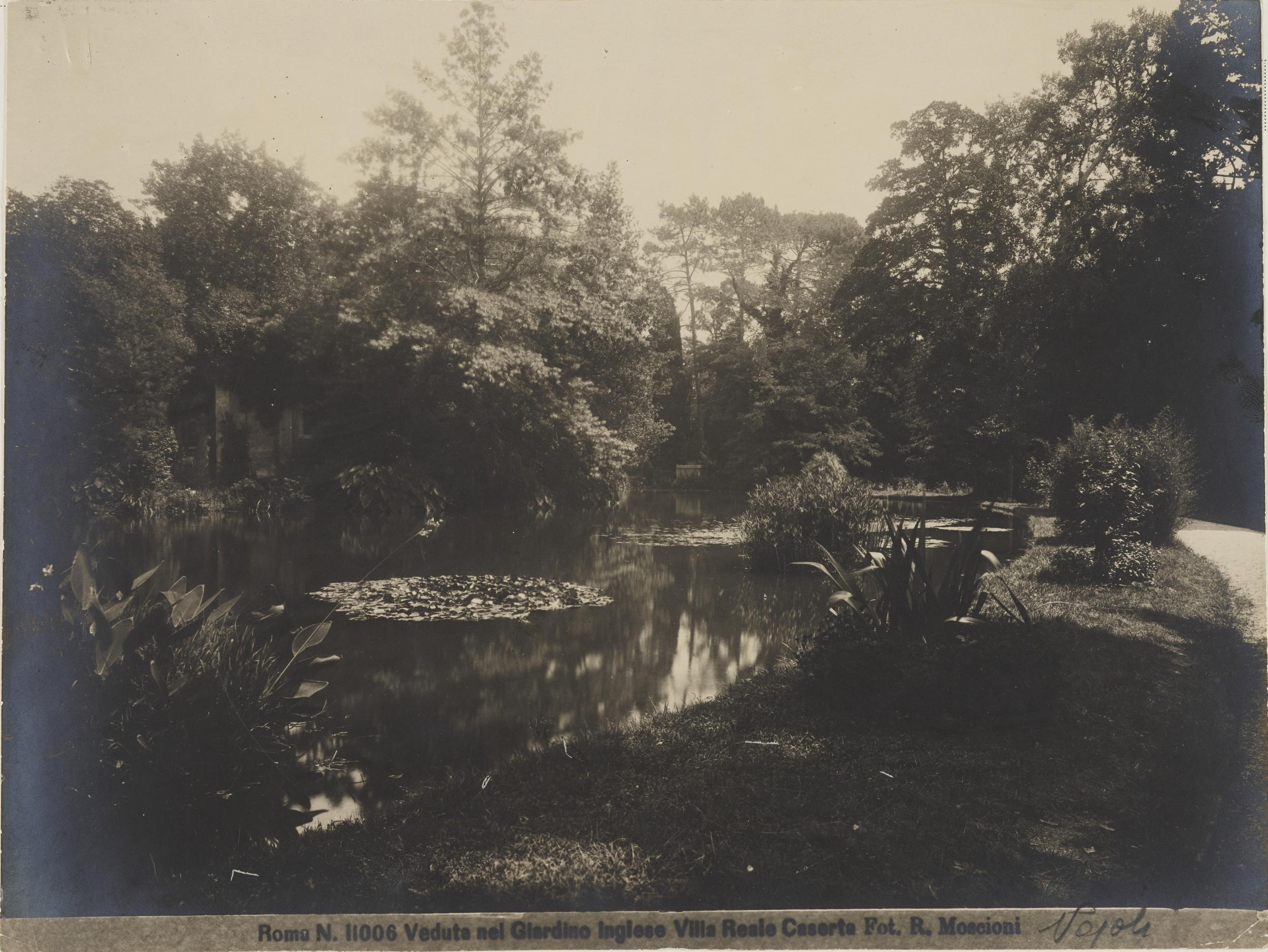 Romualdo Moscioni, Caserta - Palazzo Reale, parco, giardino di paesaggio, il lago dei cigni, gelatina ai sali d'argento, MPI145193