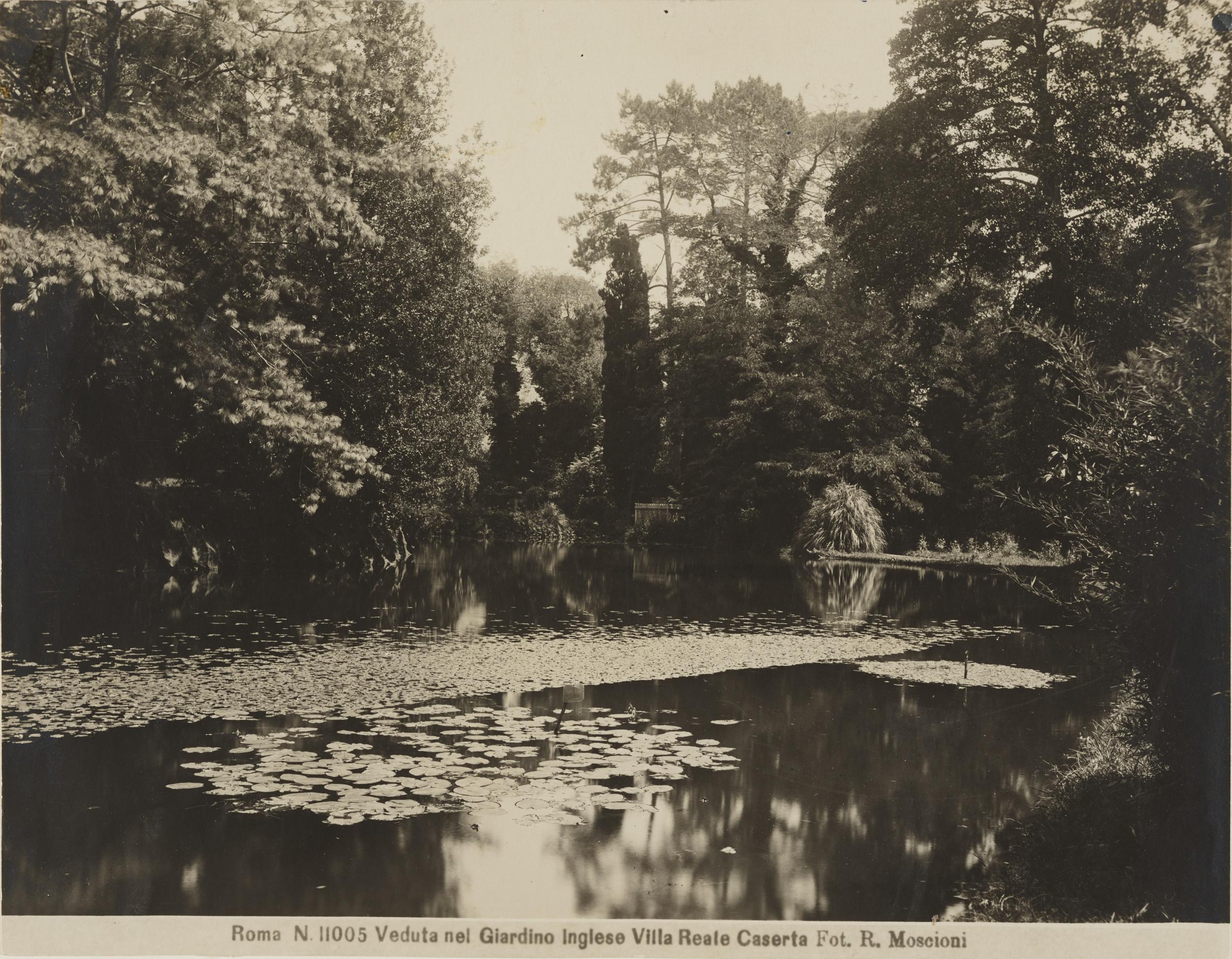 Romualdo Moscioni, Caserta - Palazzo Reale, parco, giardino di paesaggio - il lago dei cigni, gelatina ai sali d'argento, MPI145148