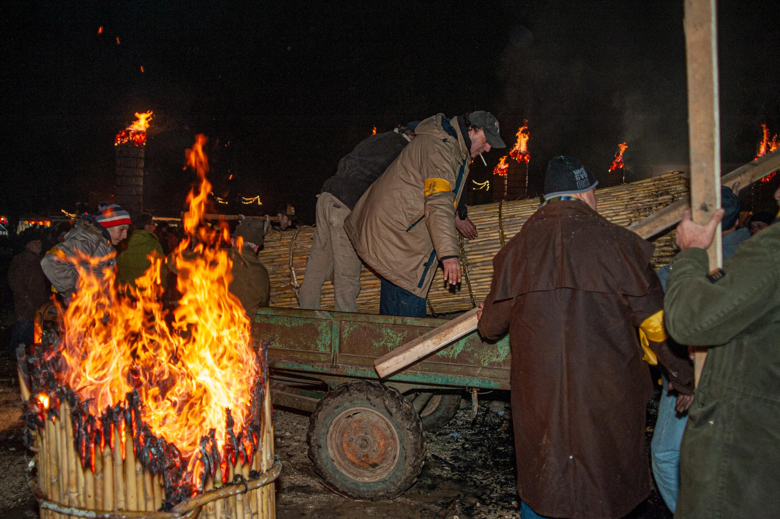 Roberto Monasterio, Il ritorno in contrada: la farchia tagliata viene caricata sul trattore, 2009, fotografia digitale