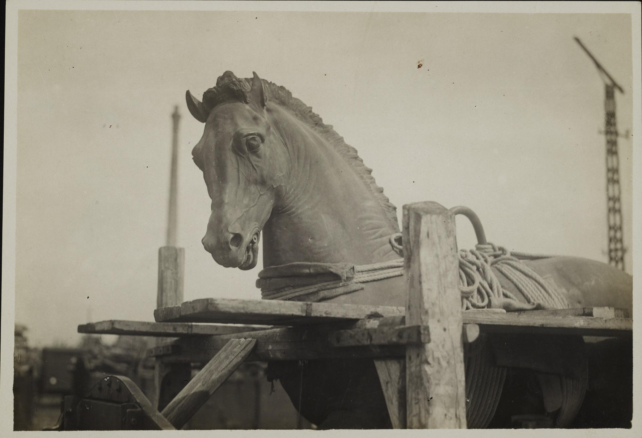 Fotografo non identificato, Padova - Piazza Del Santo, Monumento equestre al Gattamelata, imbragatura del cavallo, gelatina ai sali d'argento, 11,5x16,7 cm, MPI311006