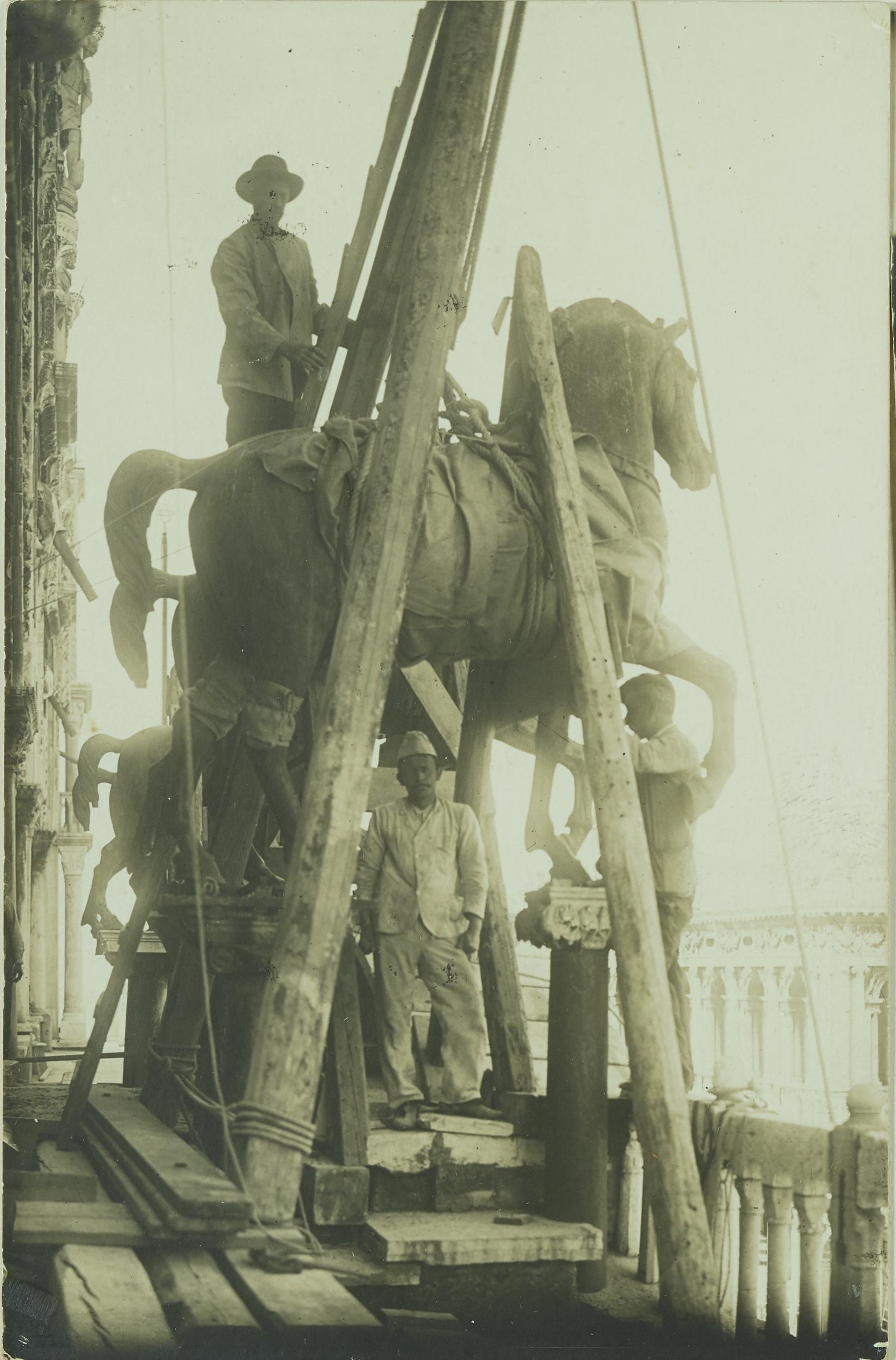 Fotografo non identificato, Venezia - Basilica di S. Marco, un cavallo, trasporto, gelatina ai sali d'argento, MPI6075928