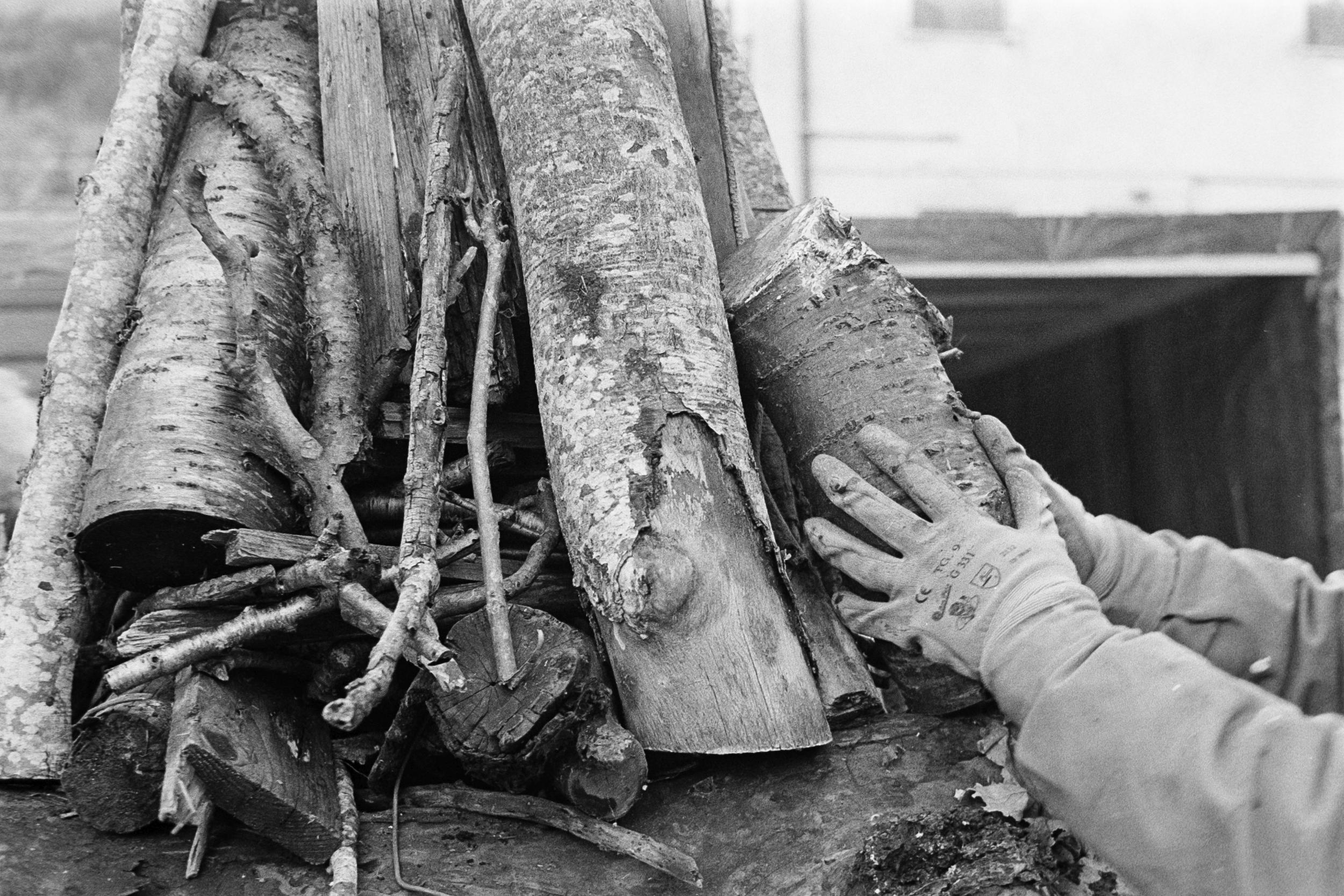 Tito Iafolla, Preparazione delle fanoglie, fotografia digitale