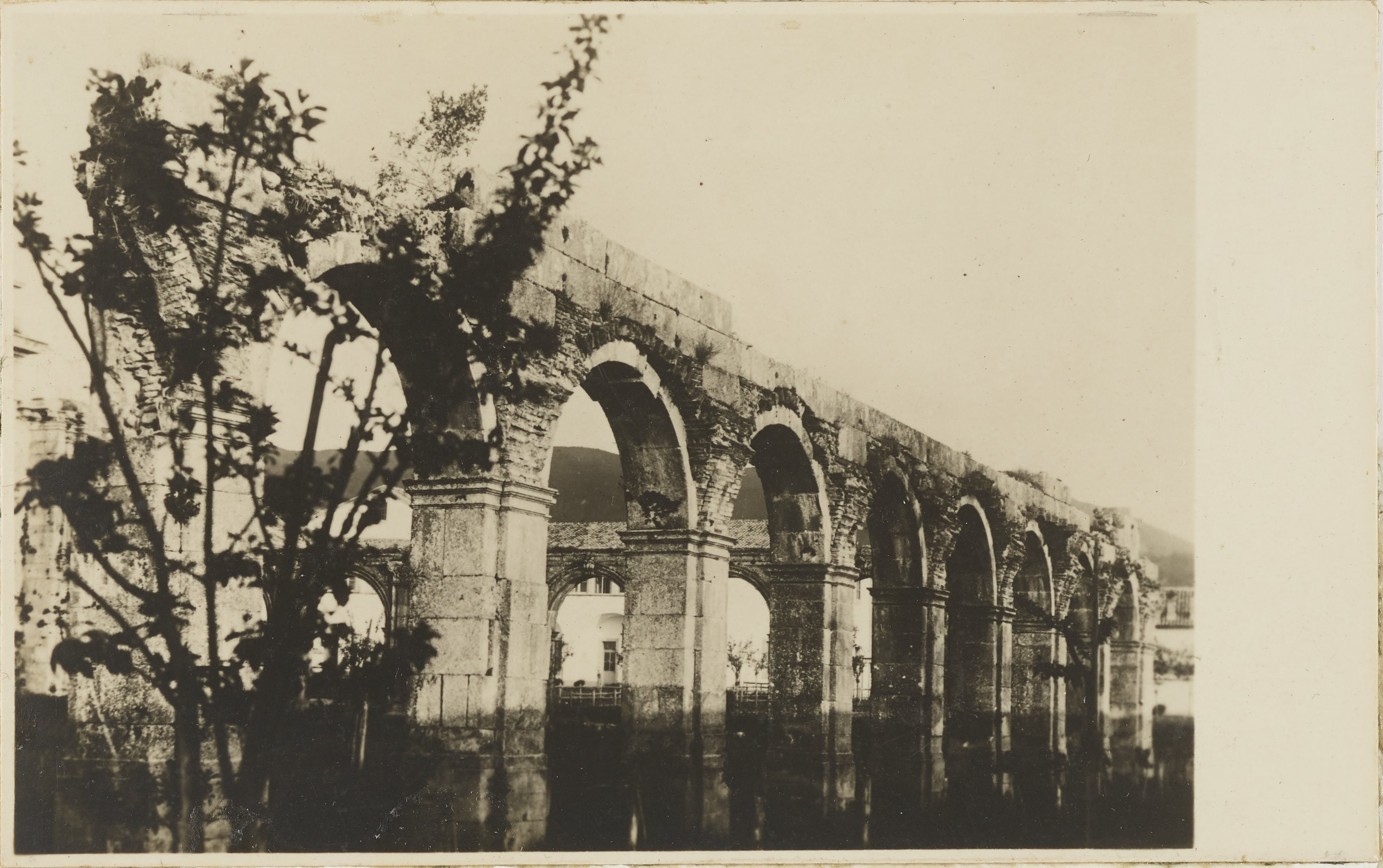 Fotografo non identificato, Serra San Bruno - Certosa dei Santi Stefano e Bruno, chiostro, MPI6096857