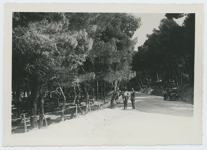 Rodolfo Longo fotografo, post 1900 ante 1933, bromuro d’argento/carta, Biblioteca Provinciale di Foggia