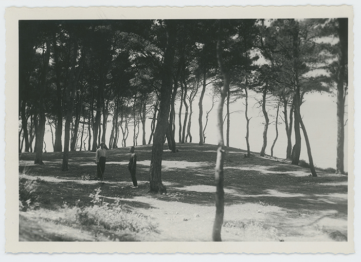 Rodolfo Longo fotografo, post 1900 ante 1933, bromuro d’argento/carta, Biblioteca Provinciale di Foggia